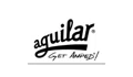 Aguilar Amplification Coupons