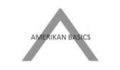 Amerikan Basics Coupons