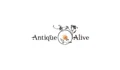 Antique Alive Coupons