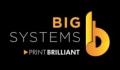 Big Systems Coupons