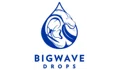 BigWave Drops Coupons