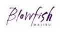 Blowfish Coupons