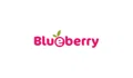 Blueberry Diapers Coupons