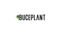 Buce Plant Coupons