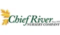 Chief River Nursery Coupons