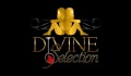 DivineSelection.USA Coupons