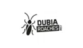 Dubia Roaches Coupons