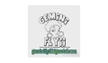 Gemini Flyii Coupons