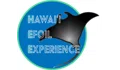 Hawaii Efoil Experience Coupons