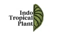 Indo Tropical Plant Coupons