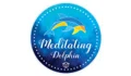 Meditating Dolphin Coupons