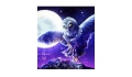 Moonbeam & Owl Coupons