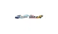 NASCAR Mario Andretti Racing Experience Coupons