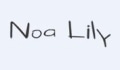 Noa Lily Coupons