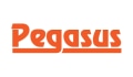 Pegasus Sports Coupons