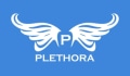 Plethora Boutique Coupons