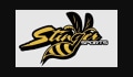 STINGER SPORTS Coupons