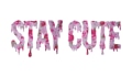 Stay Cute Coupons