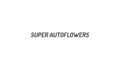 Super AutoFlowers Coupons