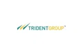 Trident Group Coupons