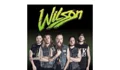 WILSON OFFICIAL STORE Coupons