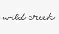 Wild Creek Co Coupons